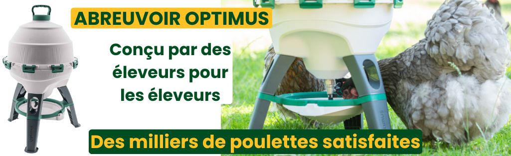Abreuvoir poules et volaille optimus